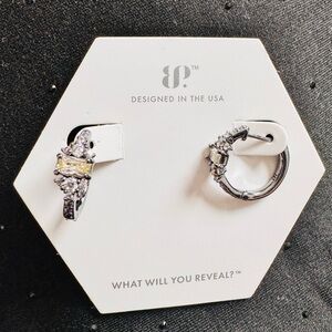 Elegant Silver and Gold Hoop Earrings